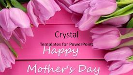  Presentation with mothers - Audience pleasing slide deck consisting of mothers day - beautiful bouquet of purple tulips backdrop and a coral colored foreground