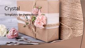  Presentation with rope - Slides with isolated kiwi half of kiwi background and a yellow colored foreground.