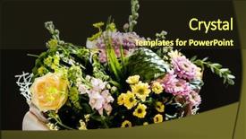  Presentation with mothers day - PPT layouts consisting of mothers day carnation - nice bouquet on the black background and a wine colored foreground