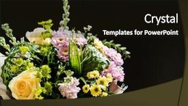  Presentation with mothers - Beautiful slides featuring mothers day carnation - nice bouquet on the black backdrop and a black colored foreground