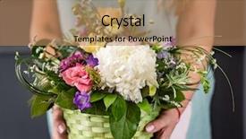  Presentation with flowers - Slide deck having mothers day carnation - nice flowers in the hands background and a coral colored foreground