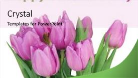  Presentation with mothers day - Amazing theme having architecture of the corfe castle village in county dorset uk backdrop and a light gray colored foreground.