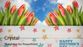  Presentation with mothers day - Slides enhanced with mothers day greeting against painted blue wooden planks background and a lemonade colored foreground