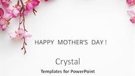  Presentation with mothers day - PPT layouts with mothers-day-pink-rose-flowers background and a white colored foreground