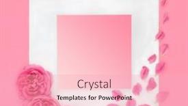  Presentation with white flower frame - Slide set having mothers-day-rose-flower-symbol background and a  colored foreground