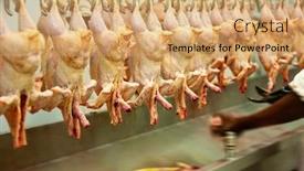  Presentation with conveyor belt - Amazing presentation theme having motion-blur-of-a-abattoir backdrop and a coral colored foreground