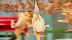  Presentation with conveyor belt - Colorful presentation design enhanced with motion-blur-of-a-abattoir backdrop and a coral colored foreground