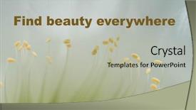  Presentation with quote - Presentation theme enhanced with motivational quote against nature background background and a light gray colored foreground