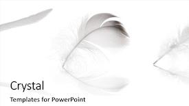  Presentation with background - Amazing PPT layouts having motley - set of feathesr isolated backdrop and a white colored foreground
