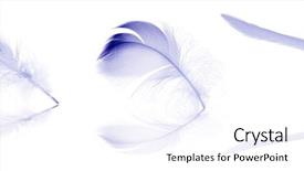  Presentation with set of sauces in white - Slide set with motley - set of feathesr isolated background and a  colored foreground