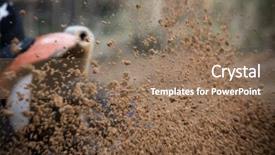  Presentation with motocross - Slide set enhanced with motocross bike in a race background and a coral colored foreground