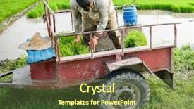  Presentation with coffee plantation coffee farm coffee - Slide deck enhanced with motorcycle manufacturing - old farmer working on rice background and a  colored foreground