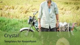  Presentation with coffee plantation coffee farm coffee - Colorful PPT theme enhanced with motorcycle manufacturing - old farmer working on rice backdrop and a  colored foreground