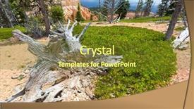  Presentation with old dry tree - Colorful slide deck enhanced with mouldering dry tree against rocky backdrop and a tawny brown colored foreground