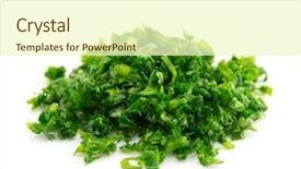  Presentation with high throughput satellite - Presentation theme consisting of chopping - high magnification macro background and a white colored foreground