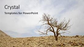  Presentation with landscape desert - Slide set enhanced with mount sinai - bare tree in desert landscape background and a light gray colored foreground