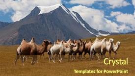  Presentation with mongolia - Amazing presentation theme having mountain altay mountains mongolia backdrop and a tawny brown colored foreground