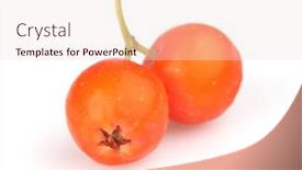  Presentation with mountain - Colorful slide set enhanced with mountain-ash-in-closeup backdrop and a lemonade colored foreground