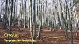  Presentation with fall season - Slides enhanced with mountain beech woods during fall season horizontal orientation background and a tawny brown colored foreground