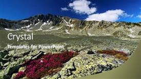  Presentation with flowers - Presentation theme consisting of mountain-flowers-in-national-park background and a violet colored foreground