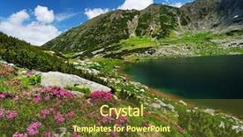  Presentation with flowers - Presentation theme consisting of mountain flowers in national park background and a tawny brown colored foreground
