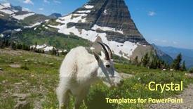  Presentation with glacier - Slide deck with mountain goat in glacier national background and a tawny brown colored foreground