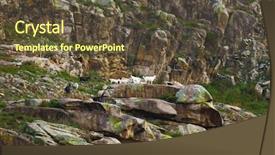  Presentation with russia - PPT theme enhanced with mountain goats on slope altai background and a tawny brown colored foreground