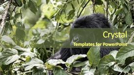  Presentation with shenandoah national park big meadows - Presentation theme consisting of  background and a  colored foreground