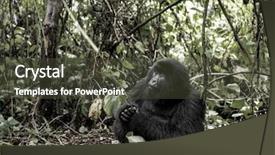  Presentation with national - Presentation consisting of  background and a  colored foreground