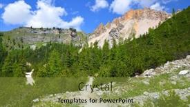  Presentation with alps - 