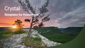  Presentation with spruce - Theme having mountain landscape spruce on the edge composition of nature background and a gray colored foreground