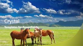  Presentation with grazing - Cool new theme with mountain landscape with grazing horses backdrop and a teal colored foreground