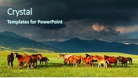  Presentation with japan beautiful landscape mountain fuji - Slide deck having mountain landscape with grazing horses background and a tawny brown colored foreground