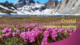  Presentation with luxury mountain nature - Slide deck having mountain-meadow-in-sunny-day background and a tawny brown colored foreground