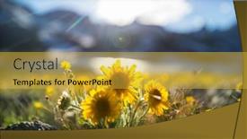  Presentation with meadow - Presentation theme with mountain-meadow-in-sunny-day background and a  colored foreground