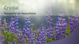  Presentation with luxury mountain nature - Presentation theme with mountain-meadow-in-sunny-day background and a soft green colored foreground