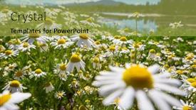  Presentation with meadow - Presentation theme consisting of mountain-meadow-in-sunny-day background and a yellow colored foreground