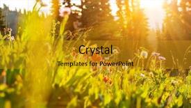  Presentation with jin ding monastry mountain - Presentation design consisting of mountain meadow in sunny day background and a  colored foreground