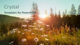  Presentation with filter - Theme consisting of mountain meadow in sunny day instagram filter background and a sky blue colored foreground