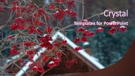  Presentation with clean house - Slide deck featuring winter holiday house in forest background and a tawny brown colored foreground