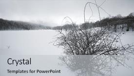  Presentation with wild dog - Amazing slide deck having mountain shapes - shape wild dog rose bush backdrop and a light gray colored foreground