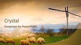  Presentation with farm - Audience pleasing slides consisting of mountain sheep - farm backdrop and a lemonade colored foreground