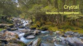  Presentation with forest stream - PPT theme featuring mountain stream rushing through a beech tree forest background and a tawny brown colored foreground
