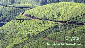  Presentation with tea plantation - Slide deck with mountain-tea-plantation-in-munnar background and a tawny brown colored foreground