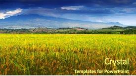  Presentation with storm clouds - Theme consisting of mountains and yellow ripe rice background and a tawny brown colored foreground