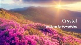  Presentation with summer flowers - Amazing theme having beautiful sky in the mountain backdrop and a coral colored foreground