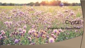  Presentation with vintage antique retro terrestrial globe - Slides having mountains meadow with retro vintage background and a  colored foreground