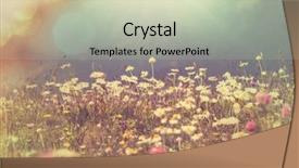  Presentation with meadow - Colorful presentation theme enhanced with mountains meadow backdrop and a light gray colored foreground