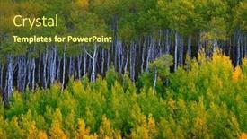  Presentation with fall mountains - Slides featuring mountains-mountainside-wilderness-forest background and a tawny brown colored foreground