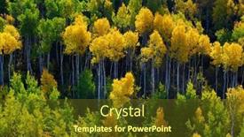 Presentation with fall mountains - PPT theme enhanced with mountains-mountainside-wilderness-forest background and a tawny brown colored foreground